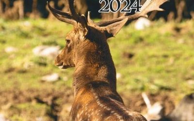 Jornadas Gastronómicas de la Caza 2024