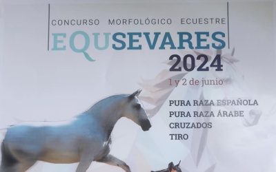 1er CONCURSO MORFOLÓGICO ECUESTRE 2024