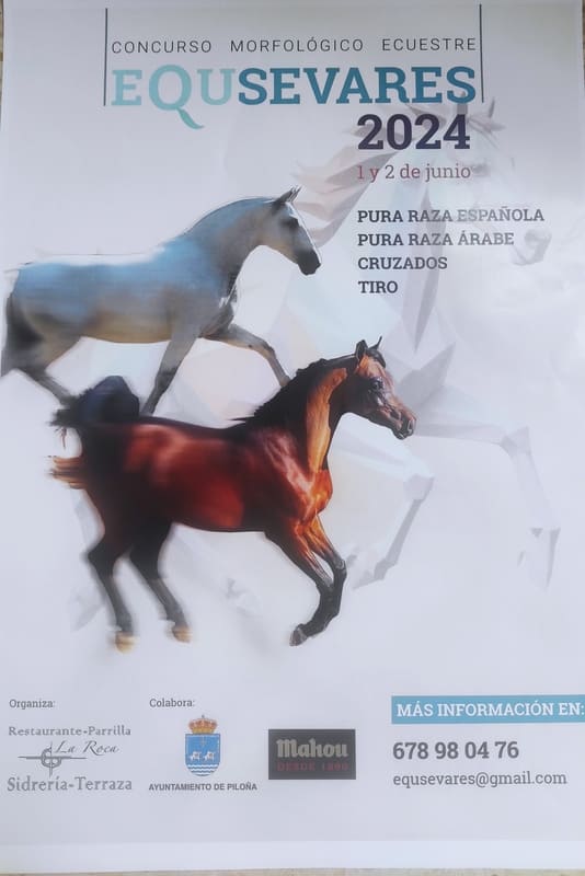 Concurso Ecuestre EquSevares