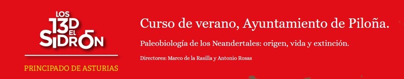 Curso Verano 2026 Curso Verano 2026