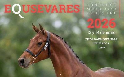 EquSevares 2026