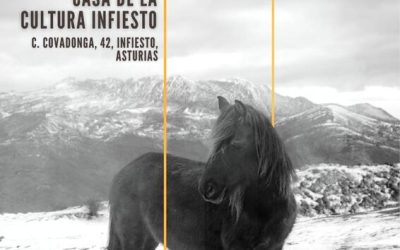 Exposición de la Casa Cultura: INDOMABLES