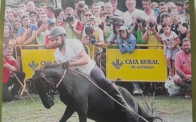 XLIV Fiesta del Asturcón