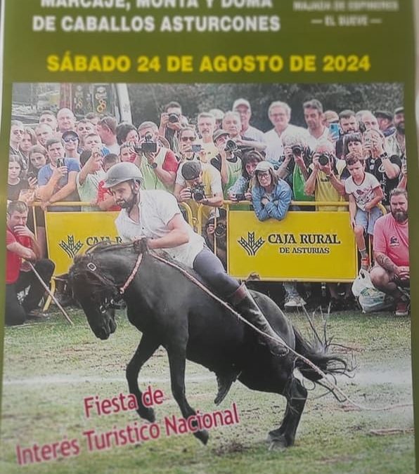 XLIV Fiesta del Asturcón