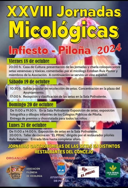 XXVIII Jornadas Micológicas
