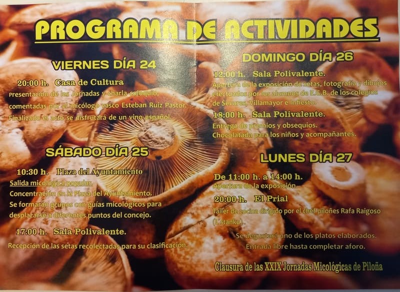 Jornadas Micológicas 2025