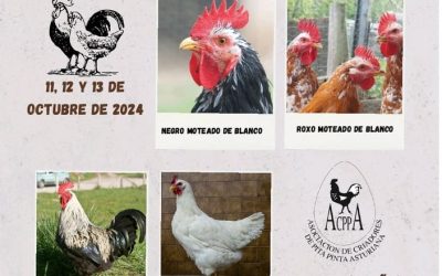 XXI Monográfico y Subasta Nacional de la Pita Pinta Asturiana