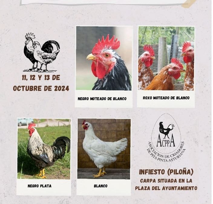 XXI Monográfico y Subasta Nacional de la Pita Pinta Asturiana