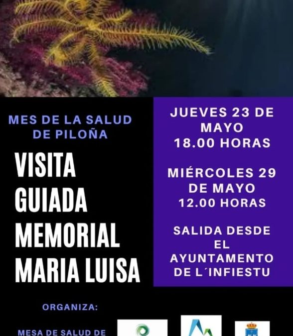 Visita Guiada a la expo Memorial María Luisa